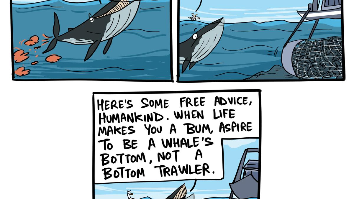 On World Oceans Day | Green Humour by Rohan Chakravarty